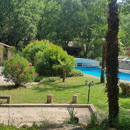 Villa Eden Vert Fayence Exteriér fotografie