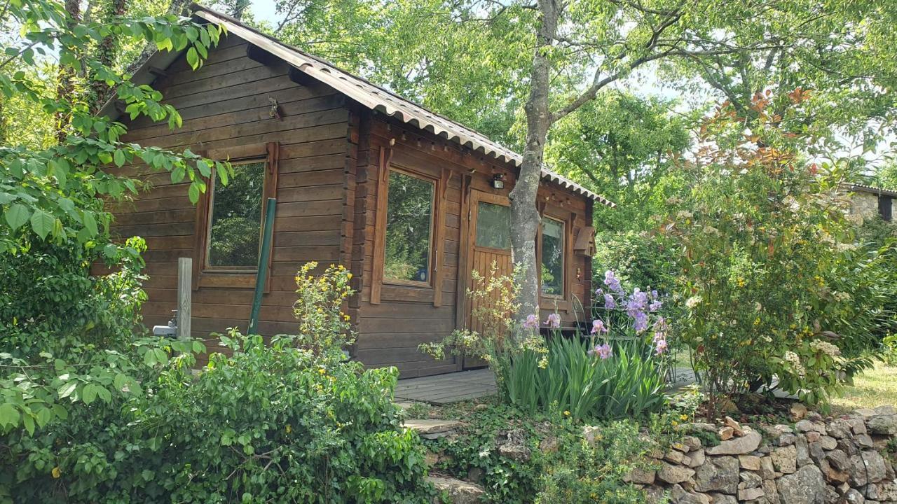 Villa Eden Vert Fayence Exteriér fotografie