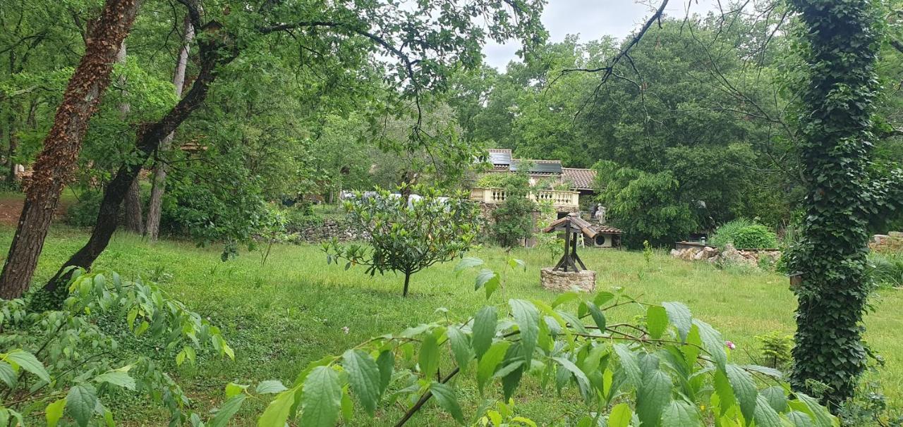 Villa Eden Vert Fayence Exteriér fotografie