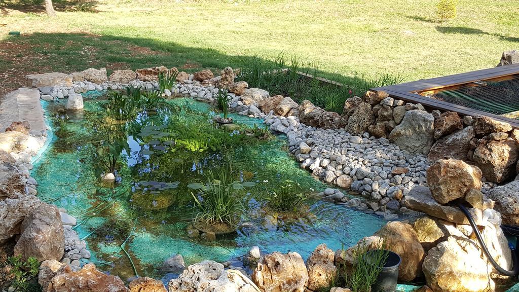 Villa Eden Vert Fayence Exteriér fotografie