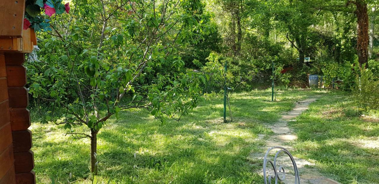 Villa Eden Vert Fayence Exteriér fotografie